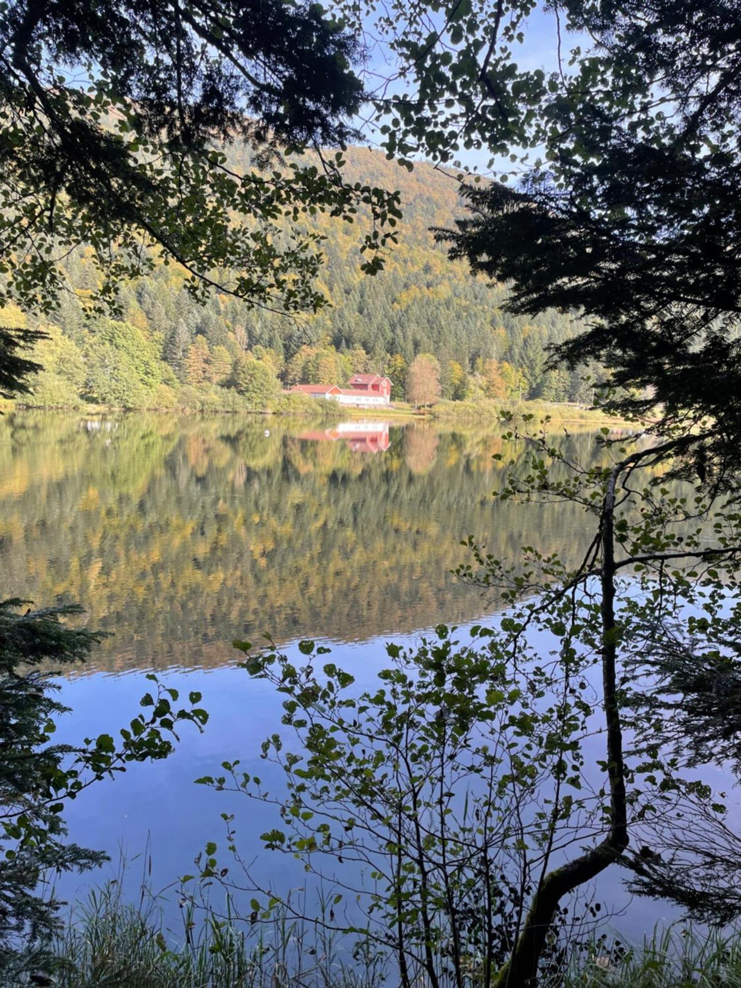 Au Plaisir Vosgien Hotel Raon-l'Etape Bagian luar foto
